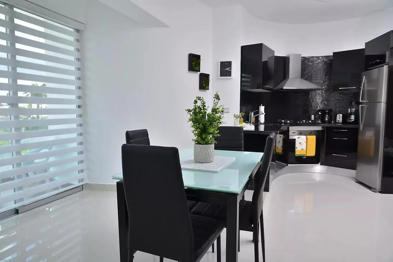 Gorgeous Condo Downtown Roof-Deck & Gym Santo Domingo Dominican Republic