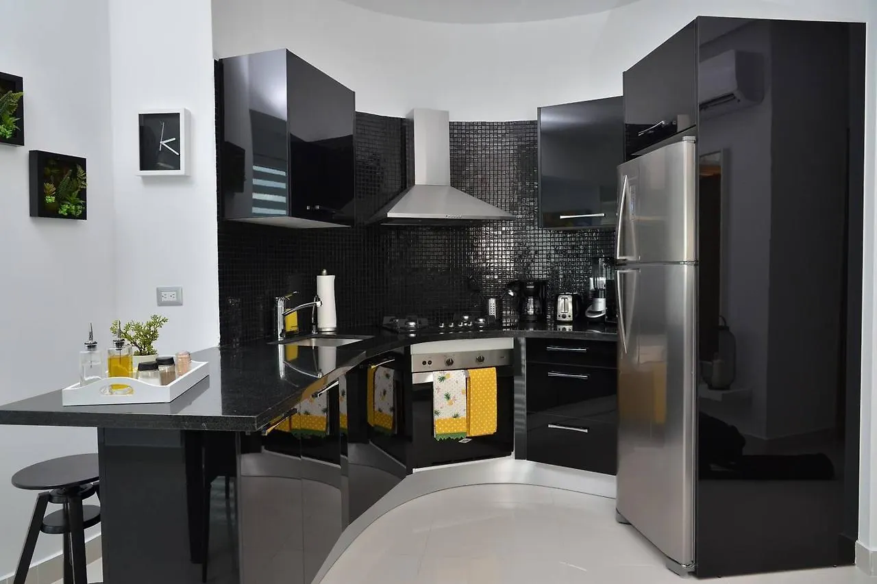 Gorgeous Condo Downtown Roof-Deck & Gym Santo Domingo Dominican Republic
